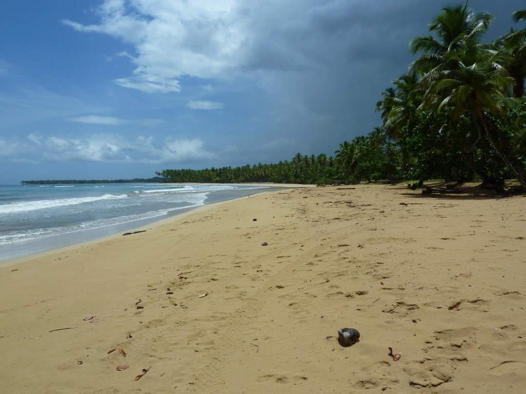 ai1051.photobucket.com_albums_s425_acristina1_Samana_202012_20Report_51PraiaCosn.jpg