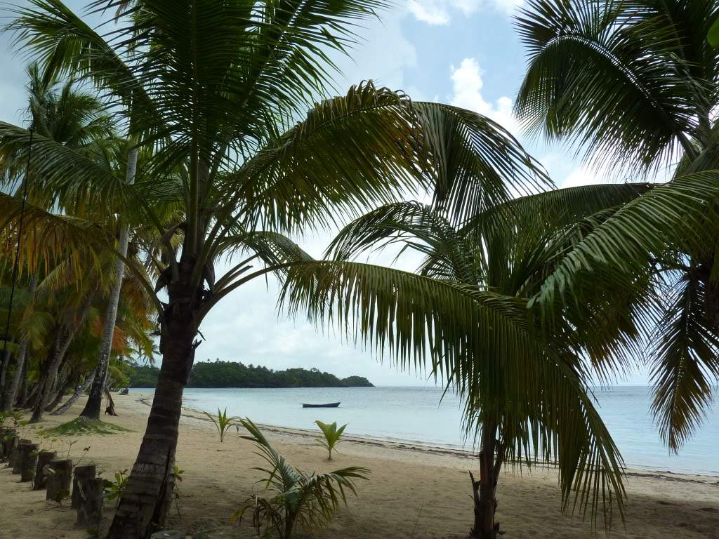 ai1051.photobucket.com_albums_s425_acristina1_Samana_202012_20Report_71PraiaLasTerrenas.jpg