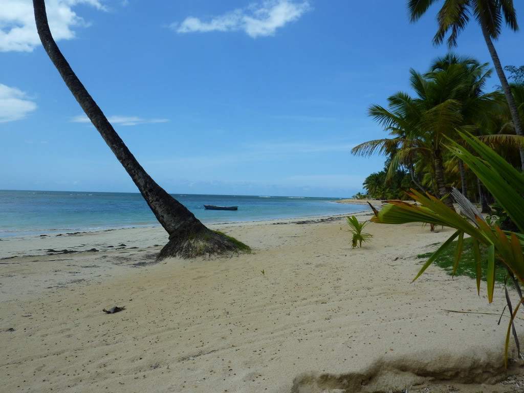 ai1051.photobucket.com_albums_s425_acristina1_Samana_202012_20Report_72PraiaLasTerrenas.jpg
