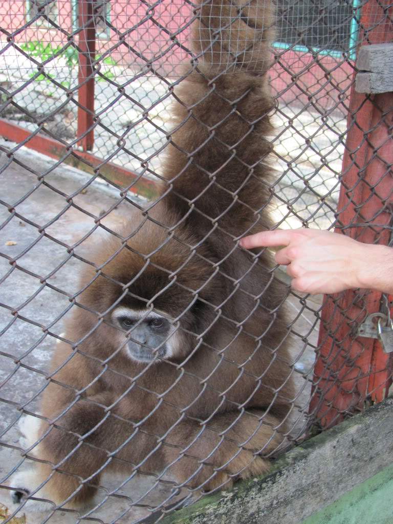 ai1052.photobucket.com_albums_s447_fericardo_IMG_0471.jpg