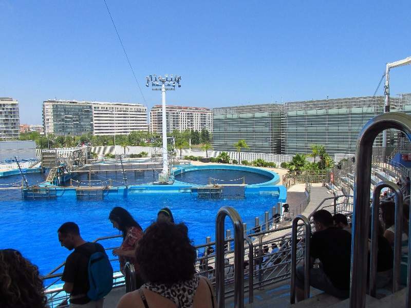 ai1056.photobucket.com_albums_t367_varycela_ferias_2014_d4_IMG_0906_zps8b5fa600.jpg