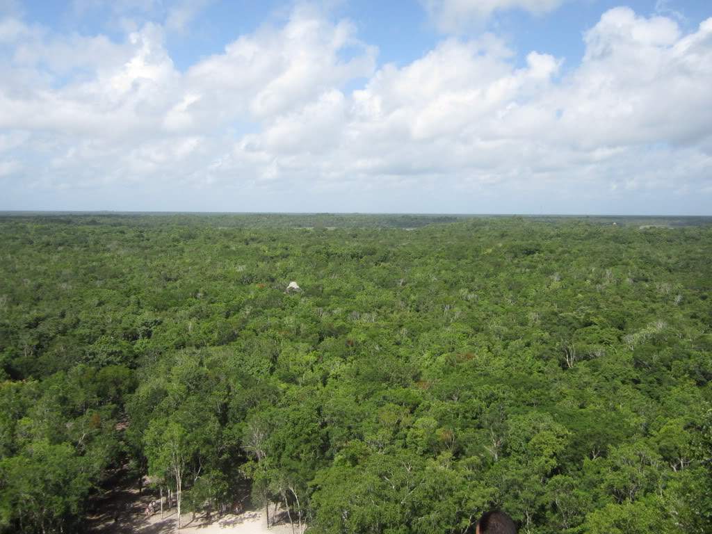 ai1060.photobucket.com_albums_t443_GrandeCruz_IMG_0144.jpg