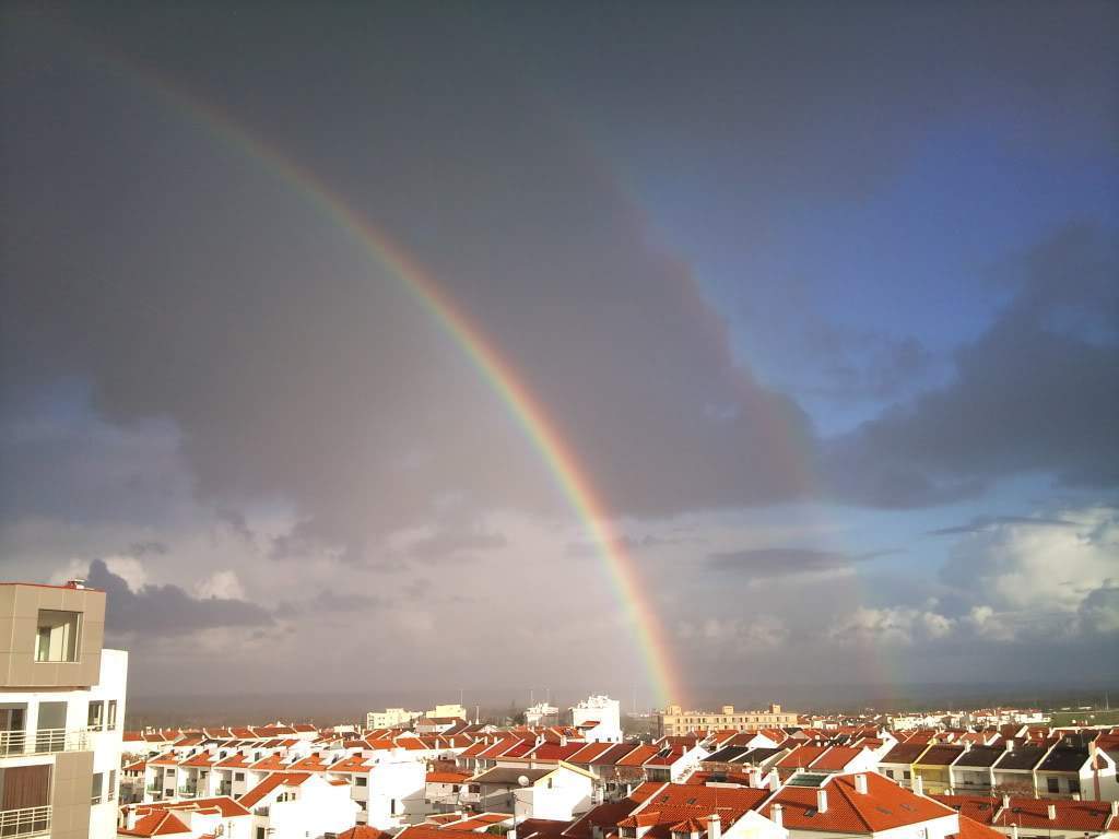 ai1062.photobucket.com_albums_t497_acribeiro14_DSC00610.jpg
