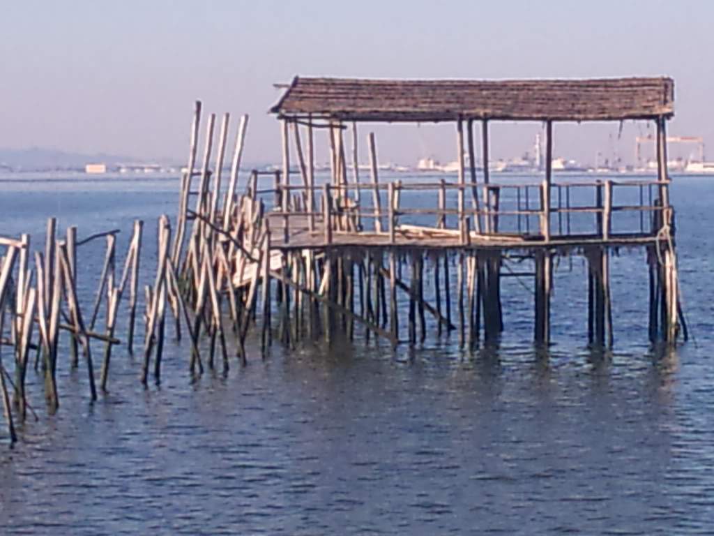 ai1062.photobucket.com_albums_t497_acribeiro14_DSC00638.jpg