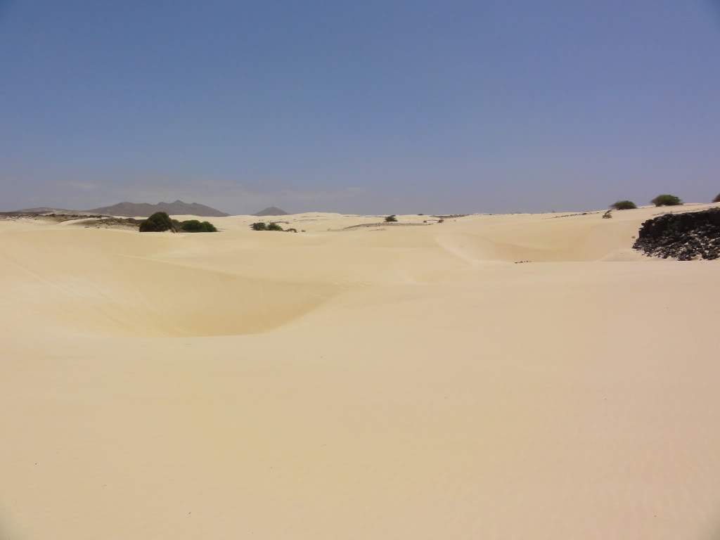 ai1065.photobucket.com_albums_u391_Frederico_m_Cabo_20Verde_DSC00531.jpg