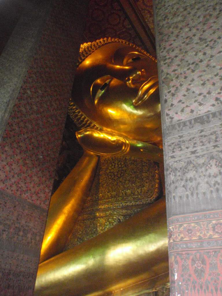 ai1066.photobucket.com_albums_u419_Anovais_P5112257.jpg