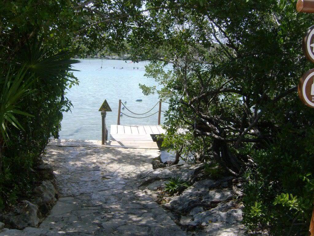 ai1069.photobucket.com_albums_u475_AnaisaFirmino_HPIM4752.jpg