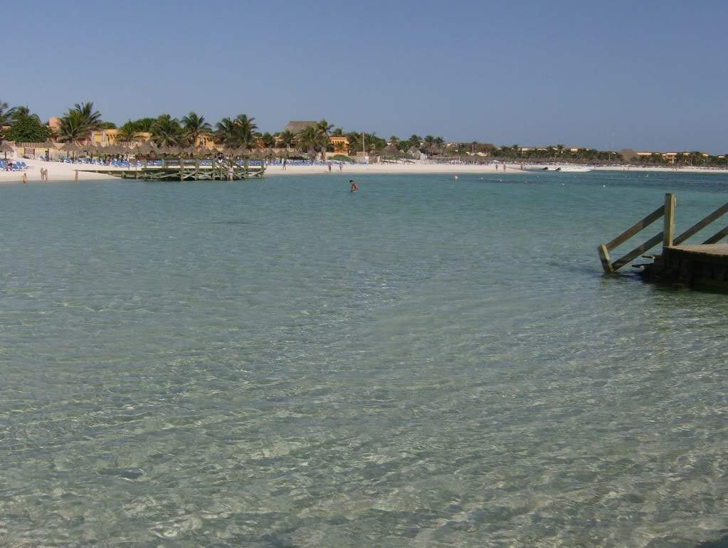 ai1069.photobucket.com_albums_u475_AnaisaFirmino_HPIM4840.jpg
