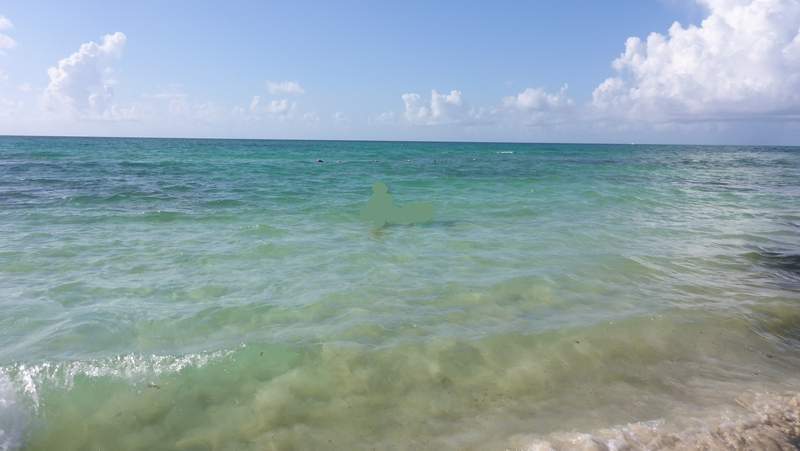 ai107.photobucket.com_albums_m301_pedrotdi150_Mexico_dedw_zpsixpswx4g.jpg