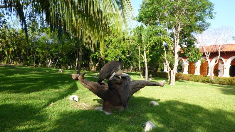 ai107.photobucket.com_albums_m301_pedrotdi150_Mexico_P1120149_zpsljoggrws.jpg