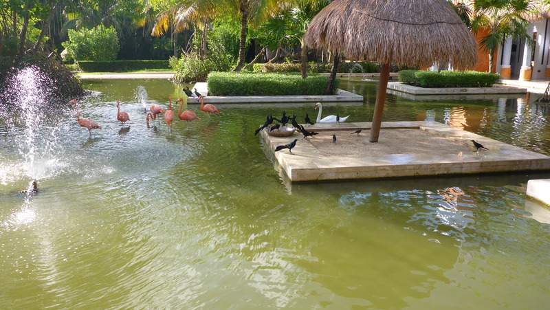 ai107.photobucket.com_albums_m301_pedrotdi150_Mexico_P1120177_zpsgm4ejncj.jpg