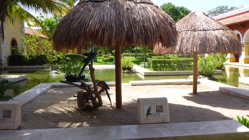 ai107.photobucket.com_albums_m301_pedrotdi150_Mexico_P1120214_zpsuilhsohn.jpg
