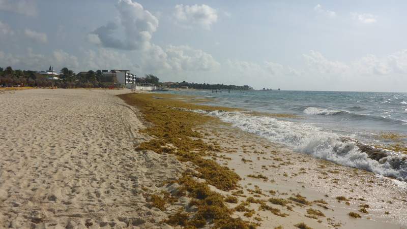 ai107.photobucket.com_albums_m301_pedrotdi150_Mexico_P1120341_zpsq0zqp6kg.jpg