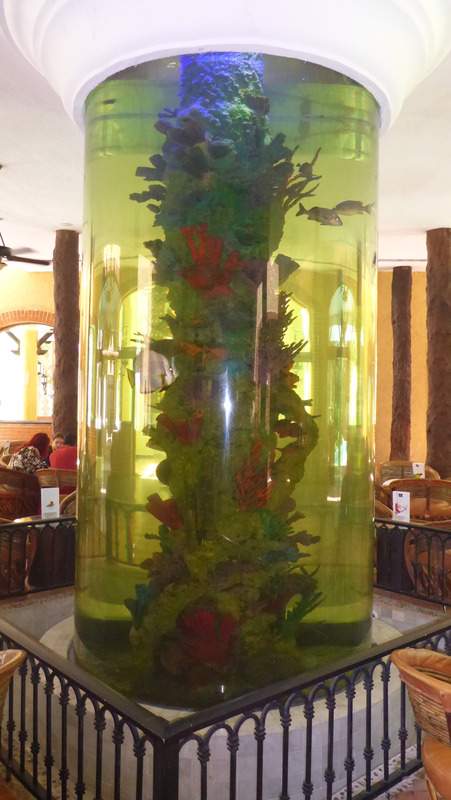 ai107.photobucket.com_albums_m301_pedrotdi150_Mexico_P1120663_zpslpafhvoz.jpg