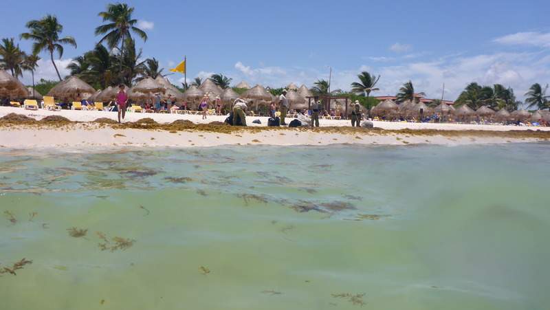 ai107.photobucket.com_albums_m301_pedrotdi150_Mexico_P1130105_zpsqb7sftvc.jpg