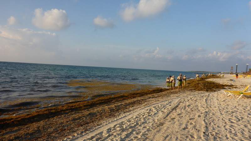 ai107.photobucket.com_albums_m301_pedrotdi150_Mexico_P1130144_zpszjpldq6i.jpg