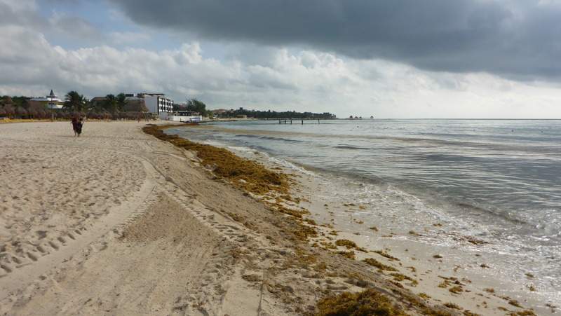 ai107.photobucket.com_albums_m301_pedrotdi150_Mexico_P1130470_zpsewzllwil.jpg