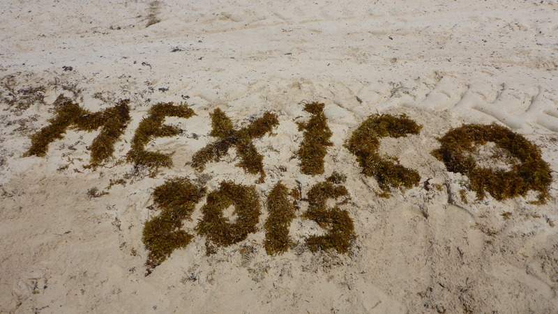ai107.photobucket.com_albums_m301_pedrotdi150_Mexico_P1130473_zpsgh6wtllp.jpg