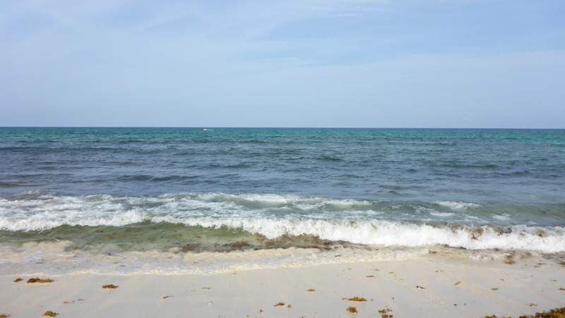 ai107.photobucket.com_albums_m301_pedrotdi150_Mexico_P1130514_zps2x6dqilc.jpg