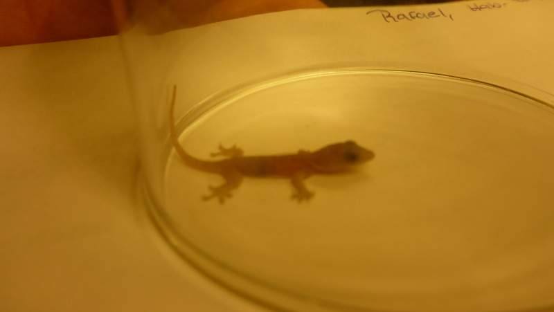 ai107.photobucket.com_albums_m301_pedrotdi150_Mexico_P1130638_zpszmqgmnjb.jpg