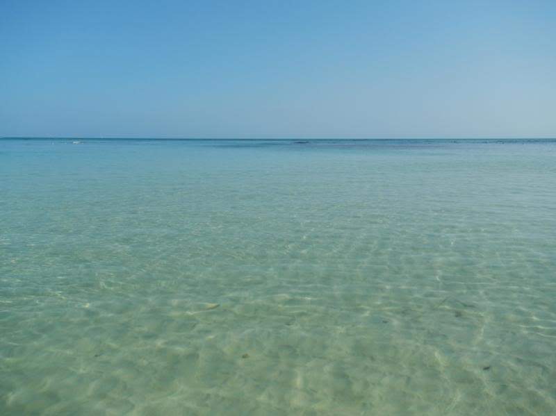 ai107.photobucket.com_albums_m301_pedrotdi150_Portillo_DSCN0438_zps2b62715f.jpg