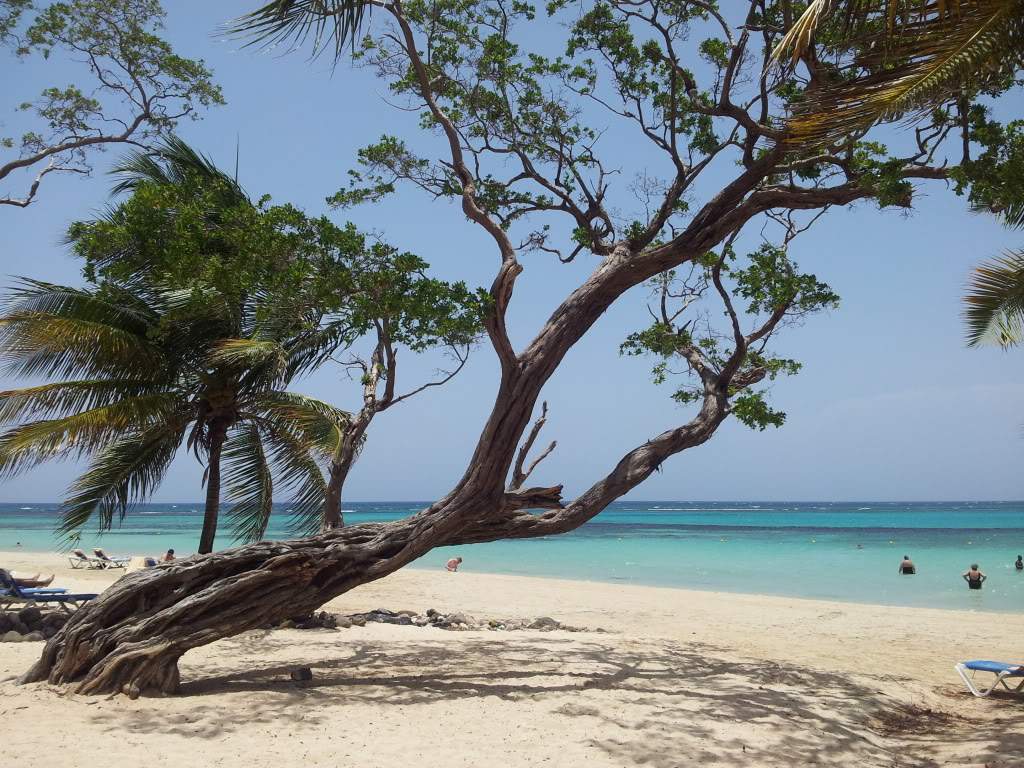 ai1071.photobucket.com_albums_u509_rcaria_20120515_120141.jpg