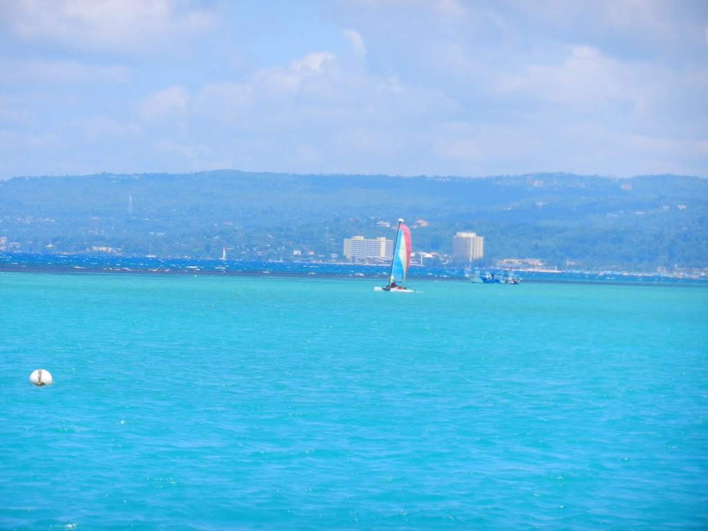 ai1071.photobucket.com_albums_u509_rcaria_DSCN0226.jpg