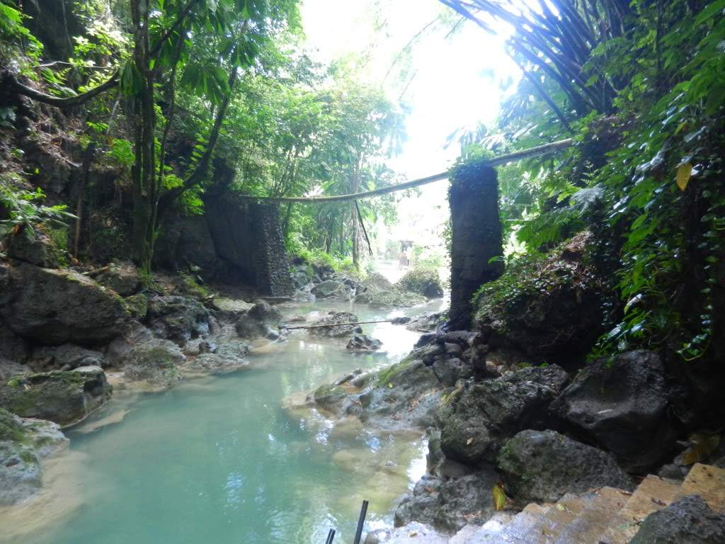 ai1071.photobucket.com_albums_u509_rcaria_DSCN0268.jpg
