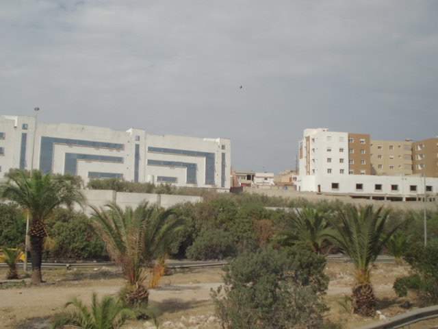 ai1074.photobucket.com_albums_w401_Septuni_CIMG5142_zps0f9024cc.jpg