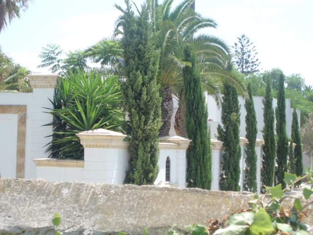 ai1074.photobucket.com_albums_w401_Septuni_CIMG5265_zps9352cd9d.jpg