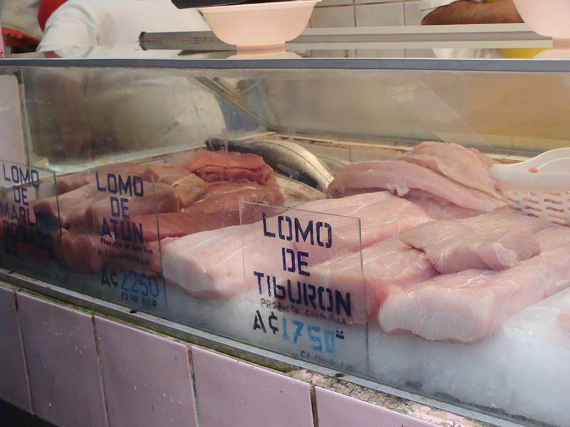ai1080.photobucket.com_albums_j334_jnunes1977_Costa_20Rica_2012_989Copiar_zps8de05ac8.jpg