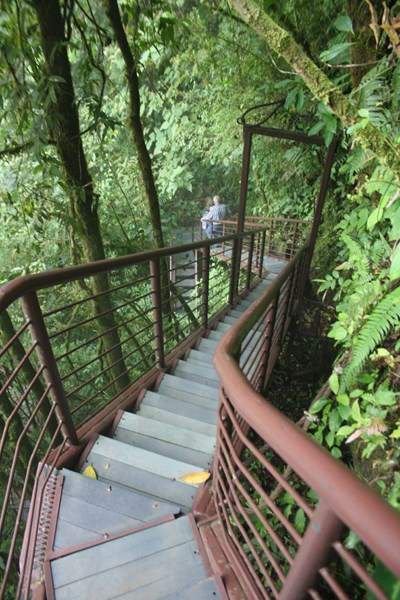 ai1080.photobucket.com_albums_j334_jnunes1977_Costa_20Rica_2013e1d36f9a25adf7432baaae38101bb38.jpg