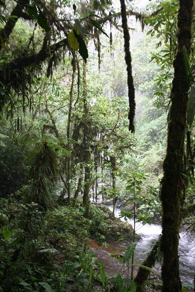 ai1080.photobucket.com_albums_j334_jnunes1977_Costa_20Rica_2017e960349e2b487c328250f9787c759e6.jpg