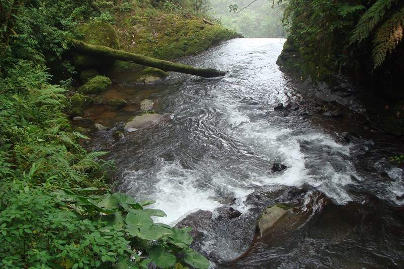 ai1080.photobucket.com_albums_j334_jnunes1977_Costa_20Rica_201_20e_202_341Copiar_zps3f7939db.jpg