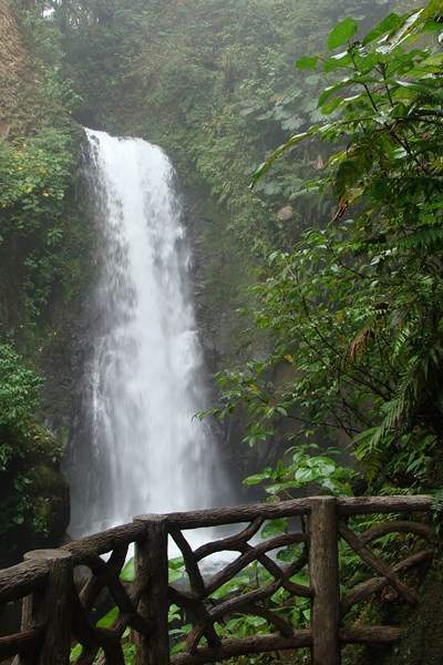 ai1080.photobucket.com_albums_j334_jnunes1977_Costa_20Rica_201_20e_202_343Copiar_zps9fea543b.jpg