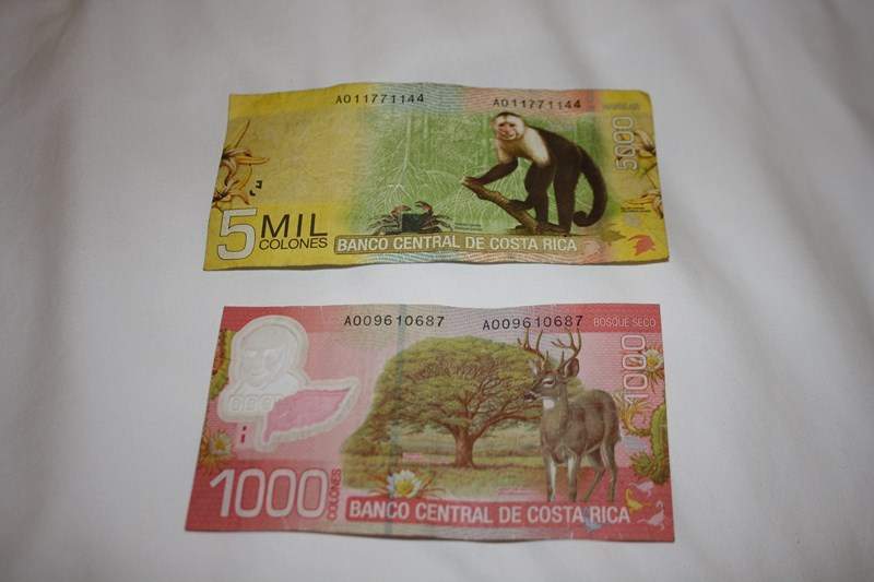 ai1080.photobucket.com_albums_j334_jnunes1977_Costa_20Rica_201f3b1e1fba623dca01fc161832e6be0bc.jpg