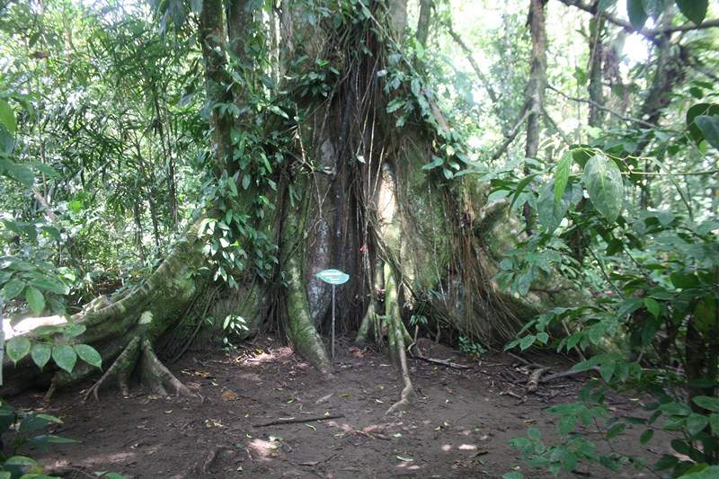 ai1080.photobucket.com_albums_j334_jnunes1977_Costa_20Rica_20327903903a759600594e6fa5fde087474.jpg