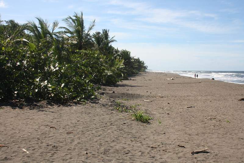 ai1080.photobucket.com_albums_j334_jnunes1977_Costa_20Rica_2036f33f54f08e341cc3563cc68494de954.jpg