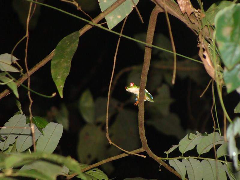 ai1080.photobucket.com_albums_j334_jnunes1977_Costa_20Rica_205_20e_206_635Copiar_zps96ed9447.jpg