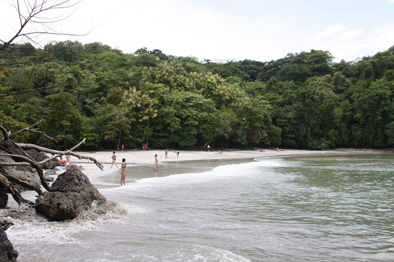 ai1080.photobucket.com_albums_j334_jnunes1977_Costa_20Rica_2092556577f31e8162efcb40417d0f59f2a.jpg