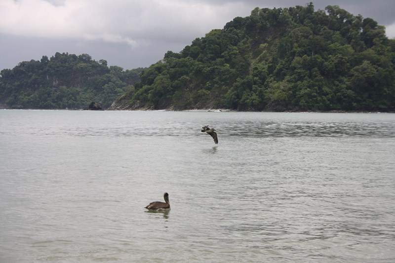 ai1080.photobucket.com_albums_j334_jnunes1977_Costa_20Rica_20985791aaaf5fda850b9293249aeefbbc1.jpg