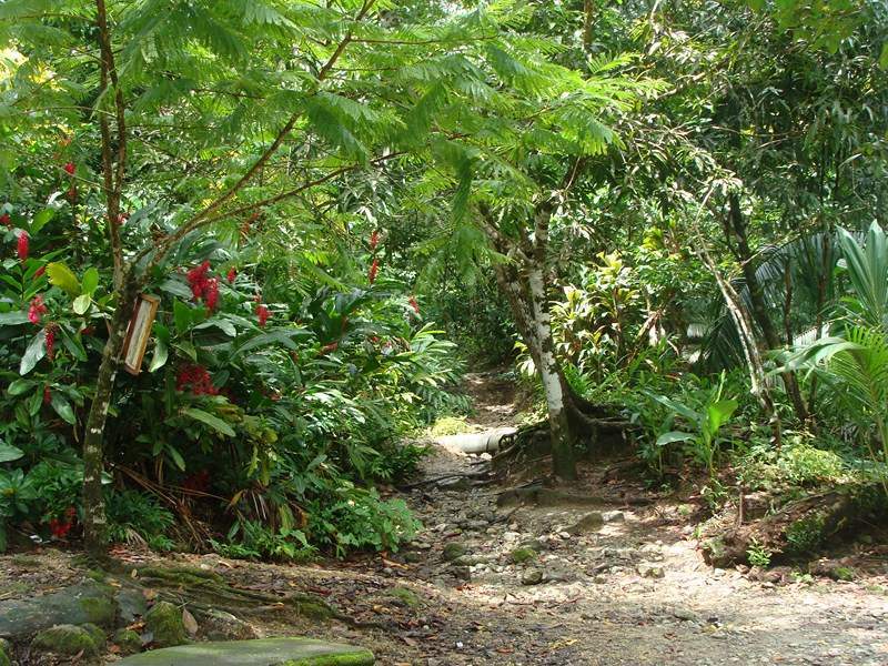 ai1080.photobucket.com_albums_j334_jnunes1977_Costa_20Rica_209_20a_2011_856Copiar_zps4d5650ae.jpg