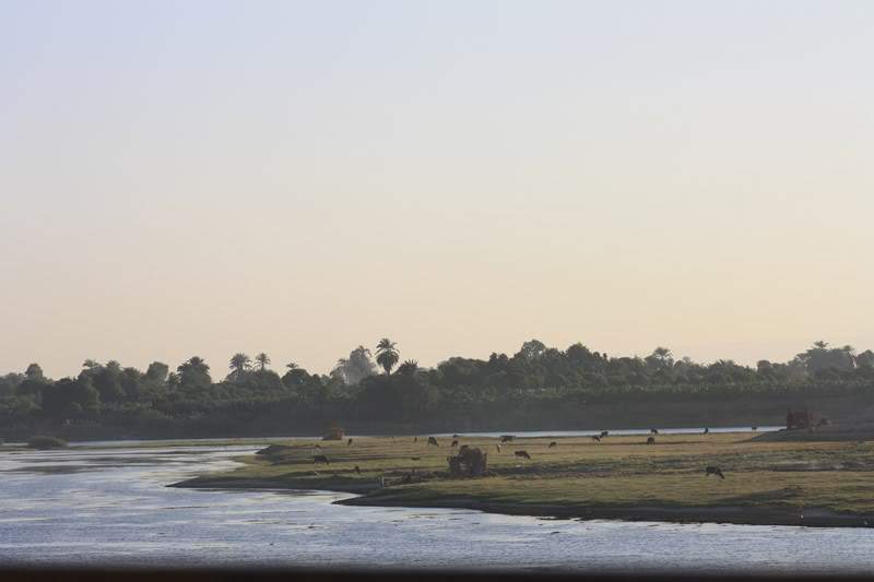 ai1080.photobucket.com_albums_j334_jnunes1977_luxor_egipto20102294800x600.jpg