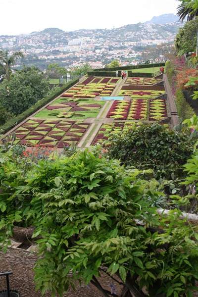 ai1080.photobucket.com_albums_j334_jnunes1977_Madeira_2013_219800x600_zps473f7163.jpg