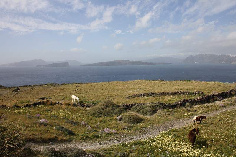ai1080.photobucket.com_albums_j334_jnunes1977_Santorini_santorini322800x600.jpg