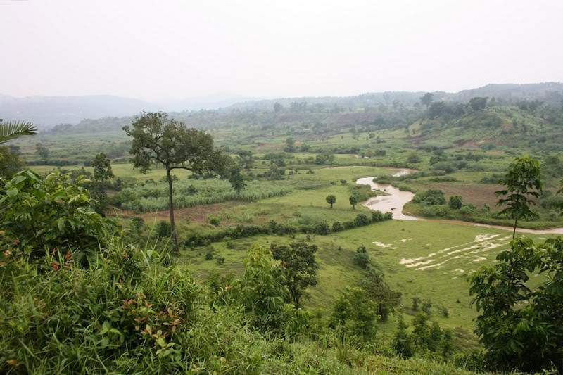 ai1080.photobucket.com_albums_j334_jnunes1977_Uganda_20__20Dia_2010_uganda2868800x600.jpg