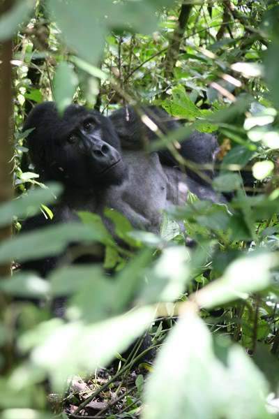 ai1080.photobucket.com_albums_j334_jnunes1977_Uganda_20__20Dia_2011_uganda3285800x600.jpg