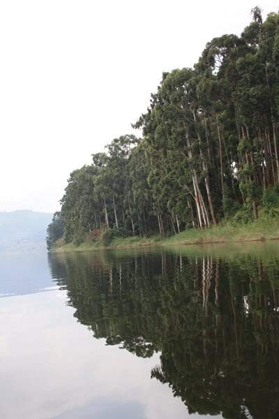 ai1080.photobucket.com_albums_j334_jnunes1977_Uganda_20__20Dia_2014_uganda3714800x600.jpg