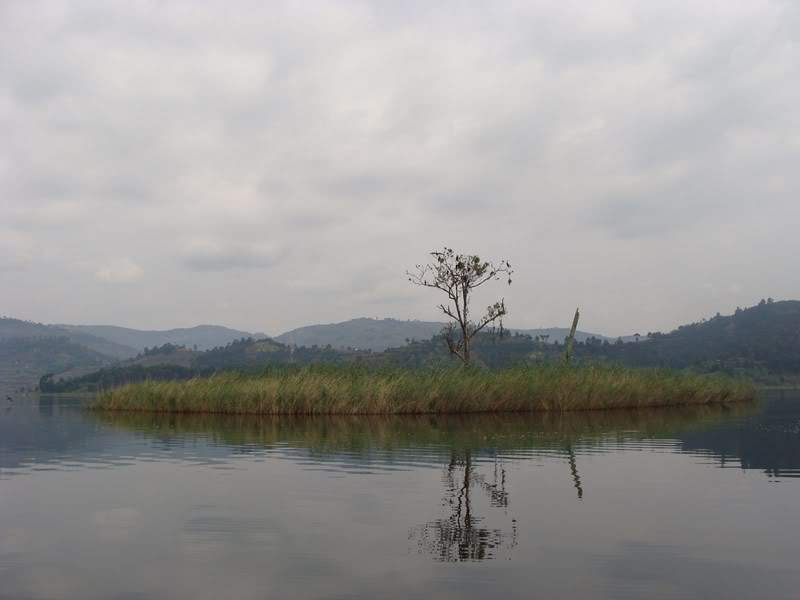 ai1080.photobucket.com_albums_j334_jnunes1977_Uganda_20__20Dia_2014_ugandas1256800x600.jpg