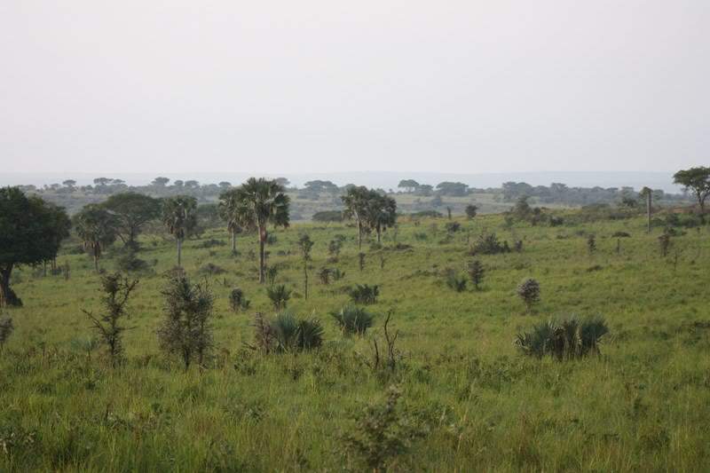 ai1080.photobucket.com_albums_j334_jnunes1977_Uganda_20__20Dia_203_uganda166800x600.jpg
